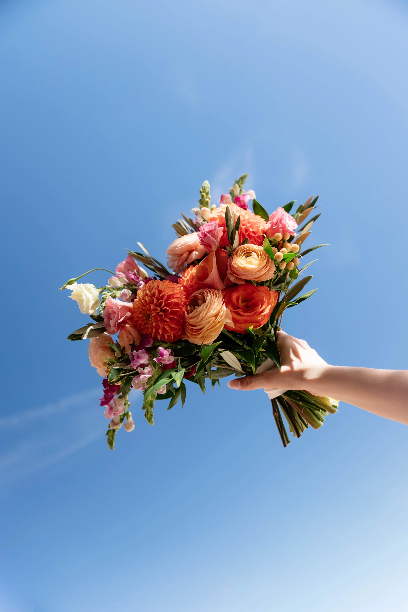 Julianne + Andrew — photograph 15